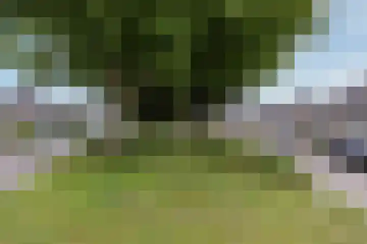 Weder 2 Midwoud thumbnail 7