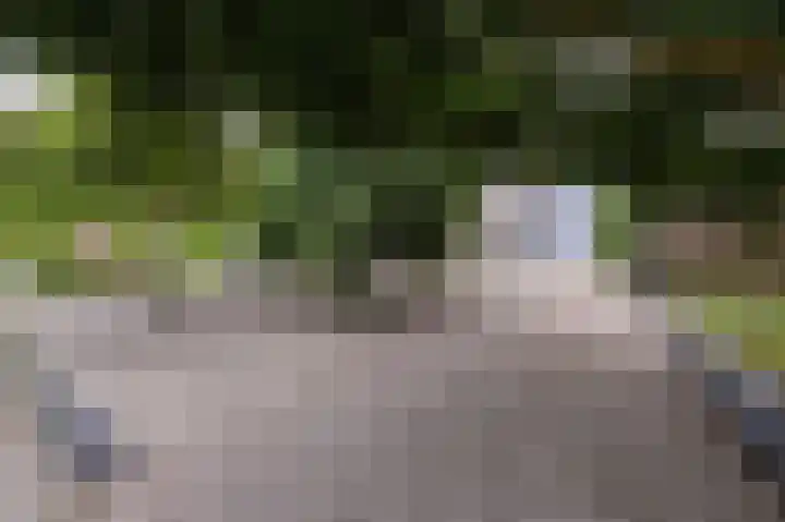 Weder 2 Midwoud thumbnail 9