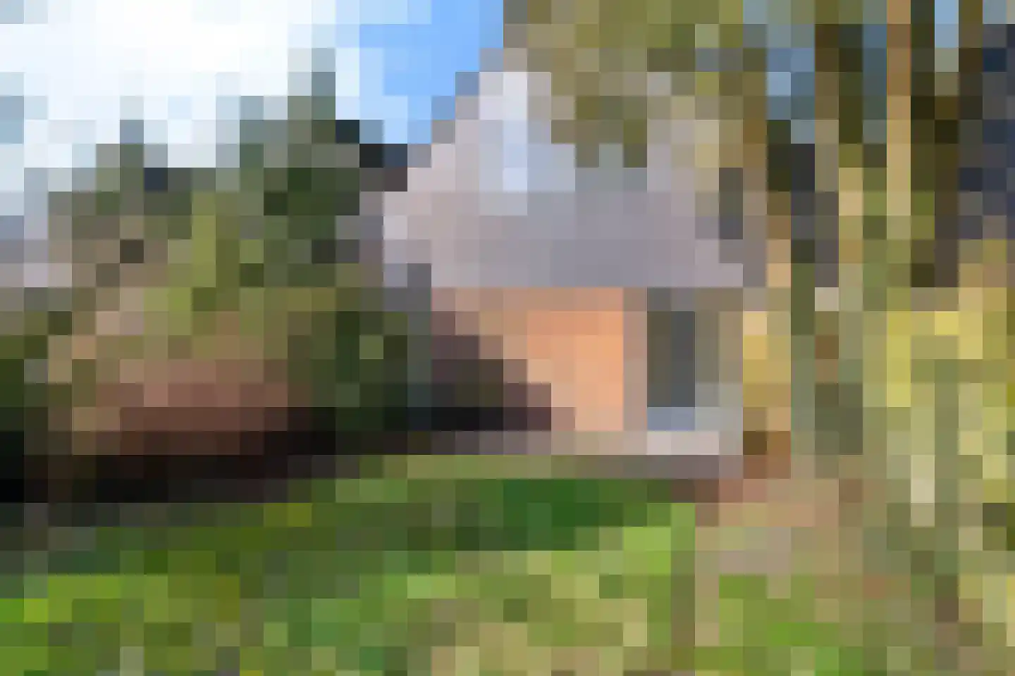 Wederik 102 Heerenveen thumbnail 12