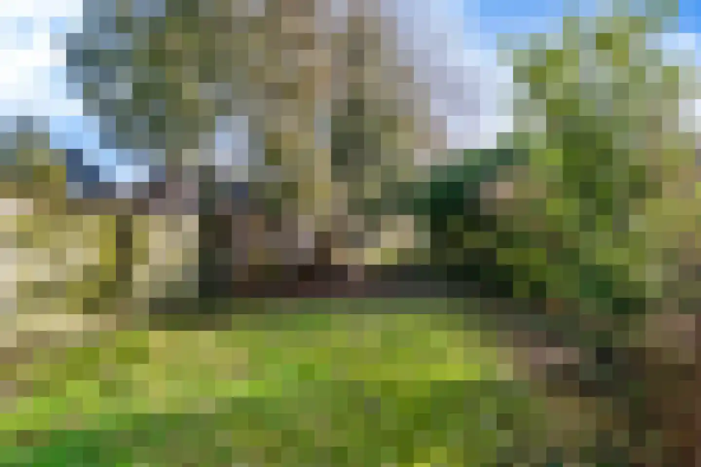 Wederik 102 Heerenveen thumbnail 13