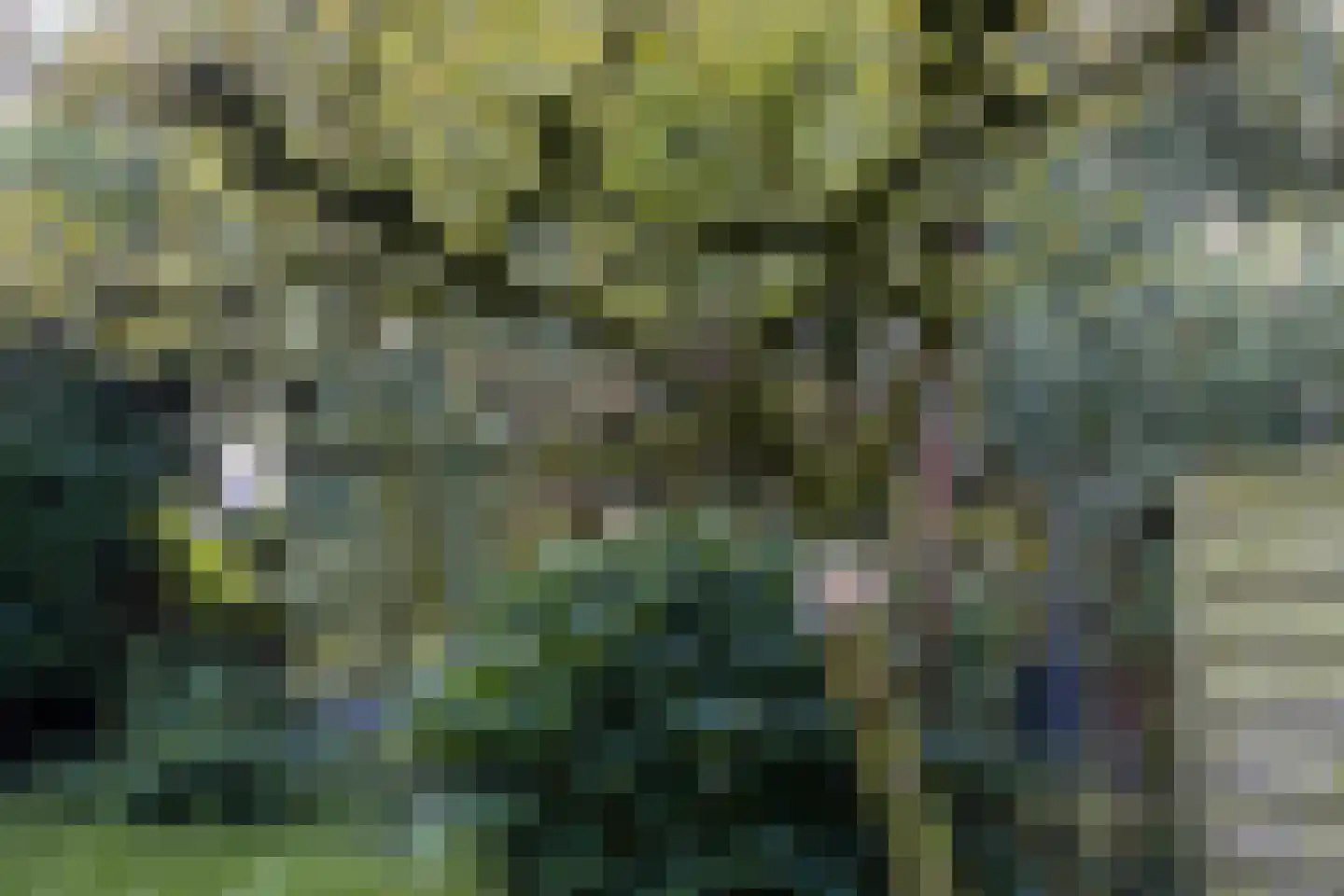 Wederik 106 Heerenveen thumbnail 34
