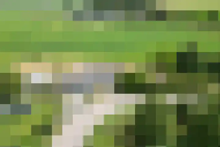 Wederik 110 Uithoorn thumbnail 12