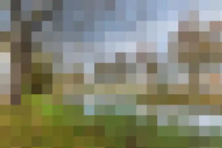 Wederik 110 Uithoorn thumbnail 27