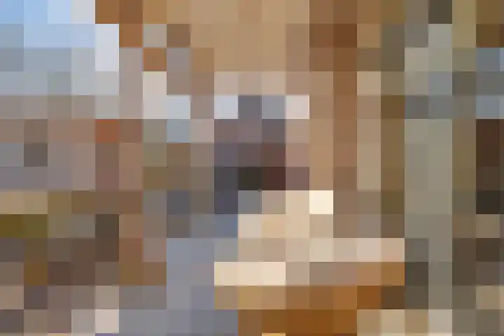 Wederik 110 Uithoorn thumbnail 28