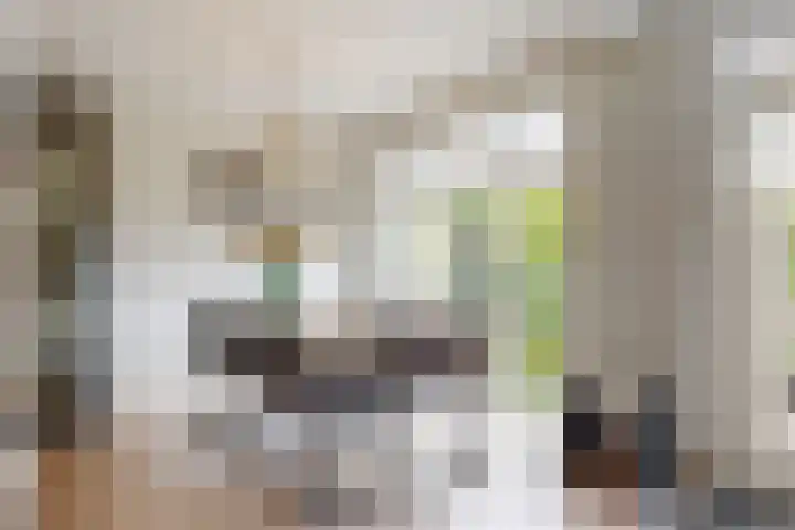 Wederik 12 Castricum thumbnail 10