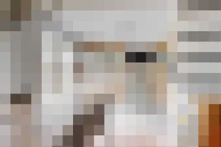 Wederik 12 Castricum thumbnail 12