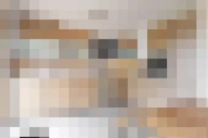 Wederik 12 Castricum thumbnail 13