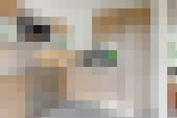 Wederik 12 Castricum thumbnail 14