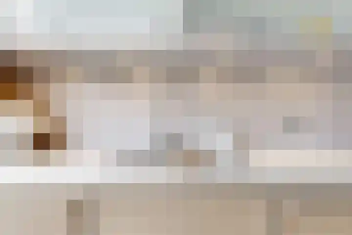 Wederik 12 Castricum thumbnail 15