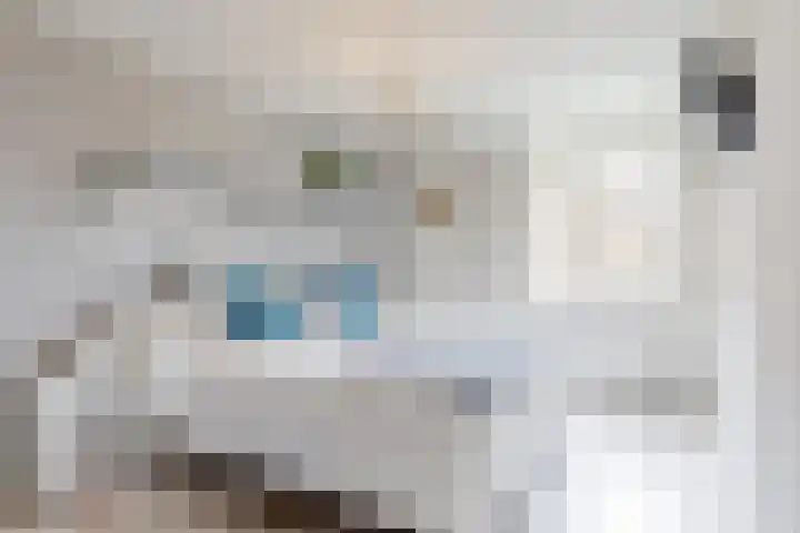 Wederik 12 Castricum thumbnail 18