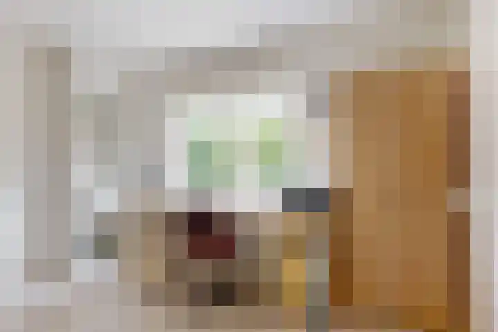 Wederik 12 Castricum thumbnail 20
