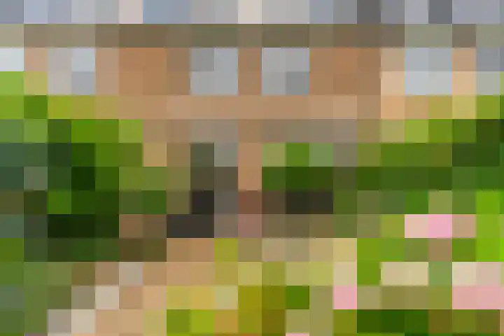 Wederik 12 Castricum thumbnail 39