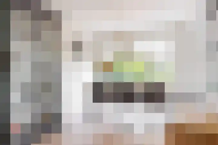 Wederik 12 Castricum thumbnail 4