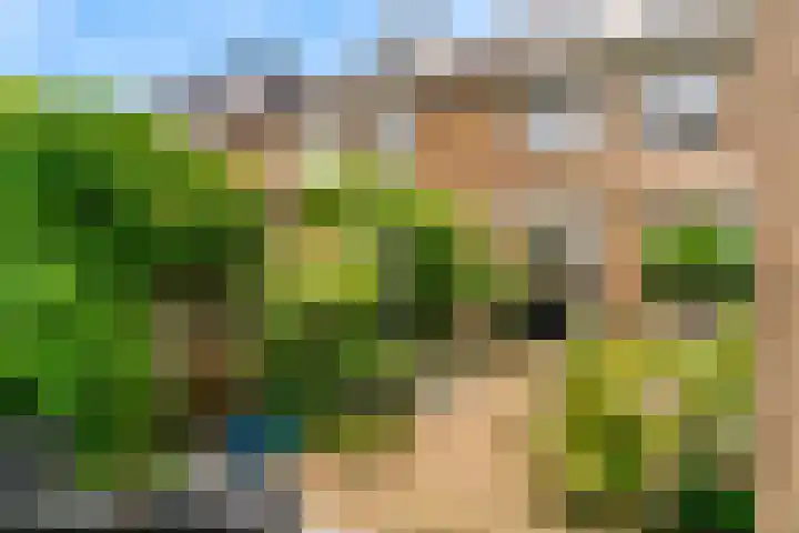 Wederik 12 Castricum thumbnail 40