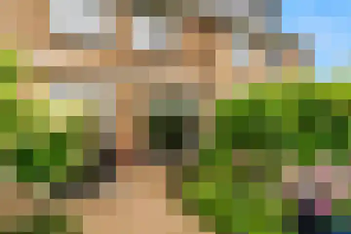 Wederik 12 Castricum thumbnail 41