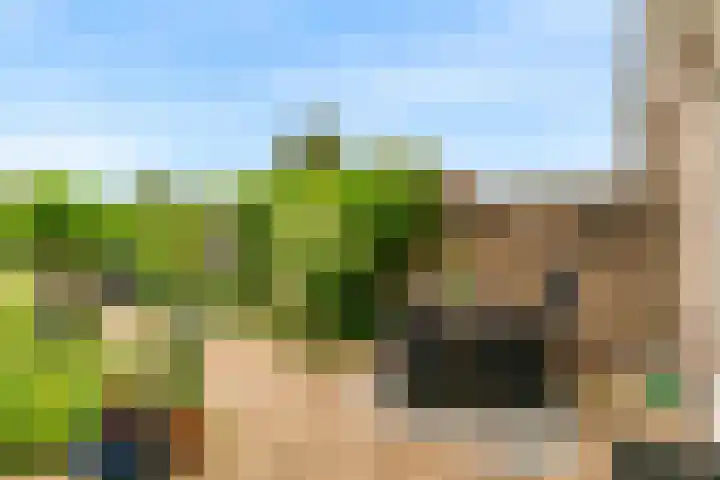 Wederik 12 Castricum thumbnail 45