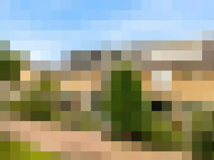 Wederik 12 Castricum thumbnail 47