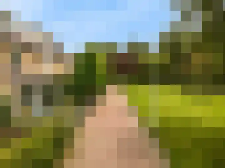 Wederik 12 Castricum thumbnail 48