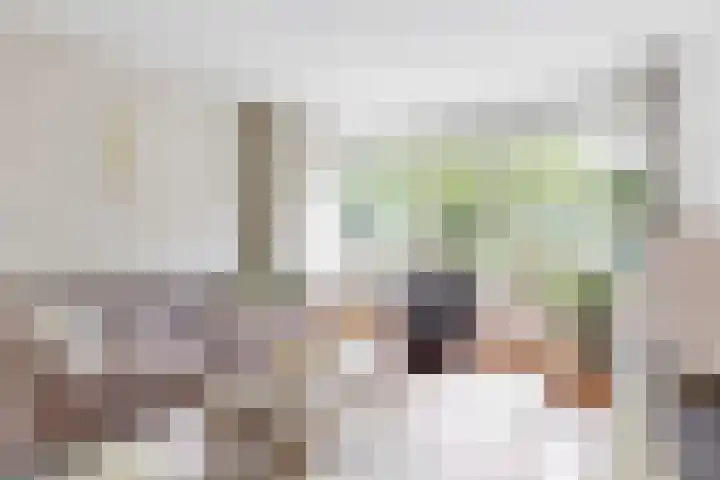 Wederik 12 Castricum thumbnail 5
