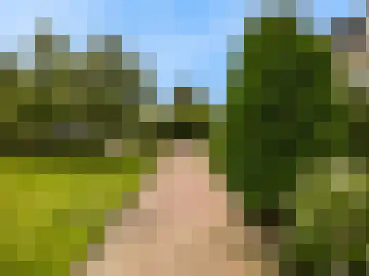 Wederik 12 Castricum thumbnail 50