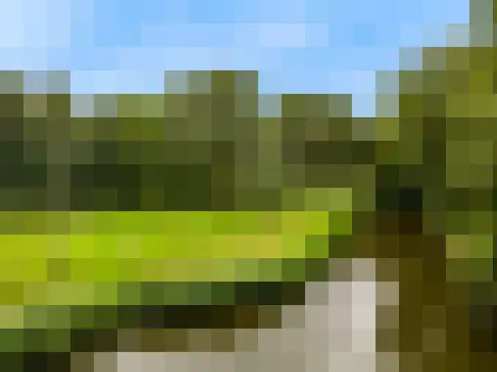 Wederik 12 Castricum thumbnail 53