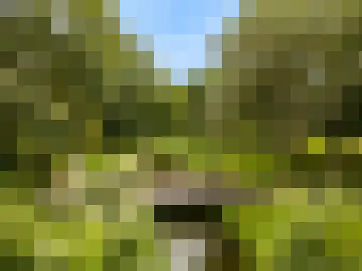 Wederik 12 Castricum thumbnail 54