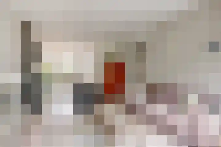 Wederik 12 Castricum thumbnail 7