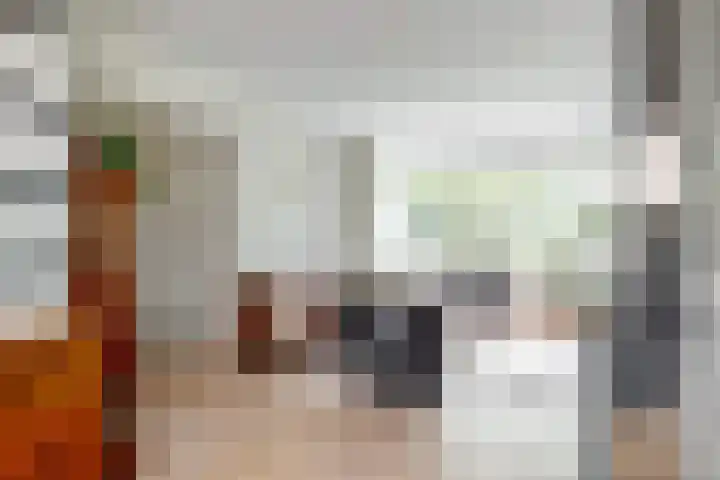 Wederik 12 Castricum thumbnail 8