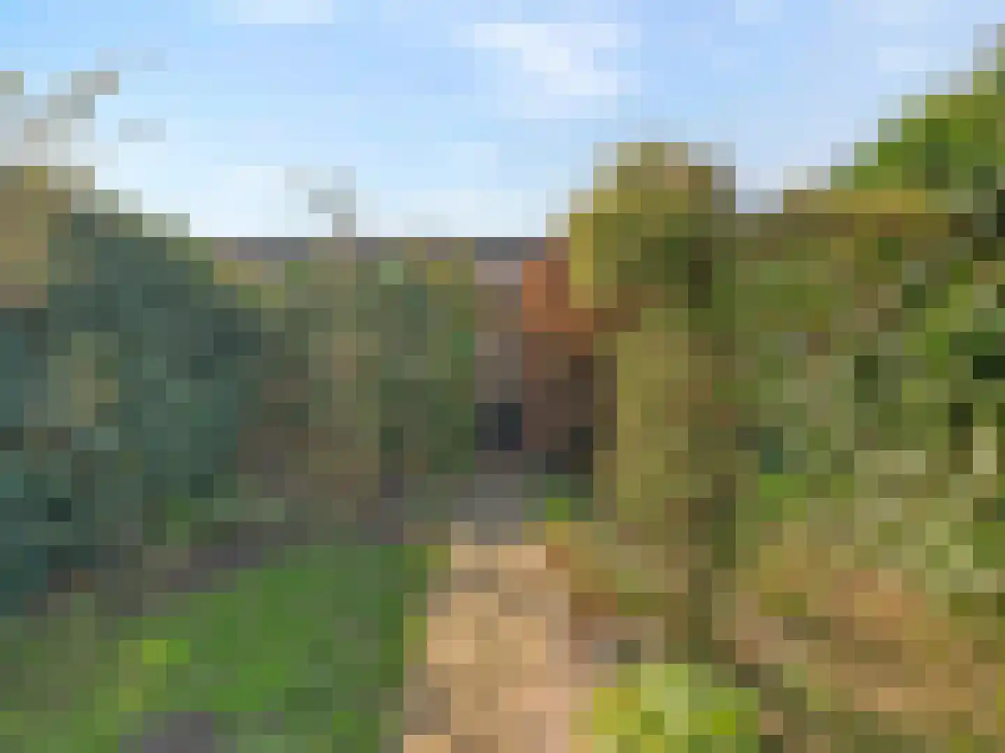 Wederik 12 Kockengen thumbnail 26