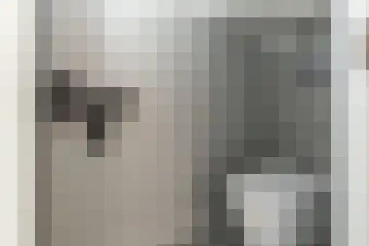 Wederik 122 Heerenveen thumbnail 18