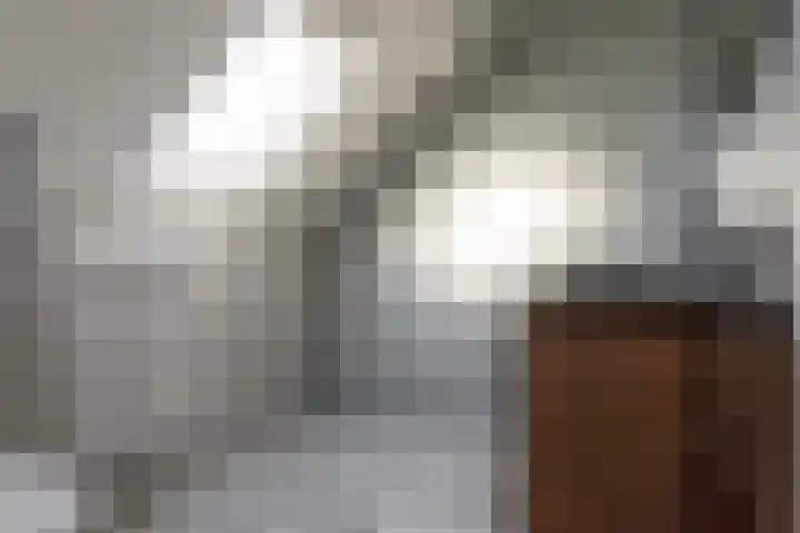Wederik 122 Heerenveen thumbnail 20