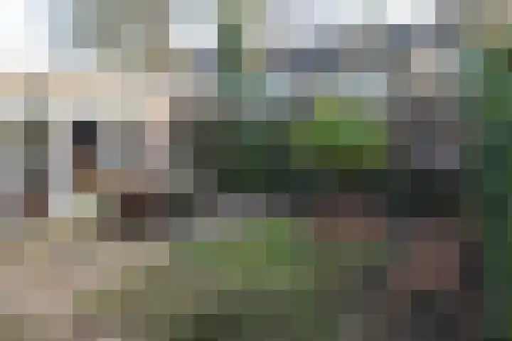 Wederik 122 Heerenveen thumbnail 29