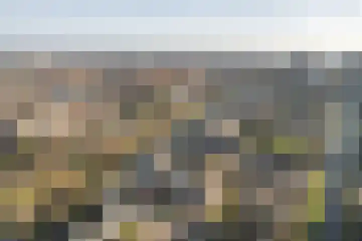 Wederik 122 Heerenveen thumbnail 36