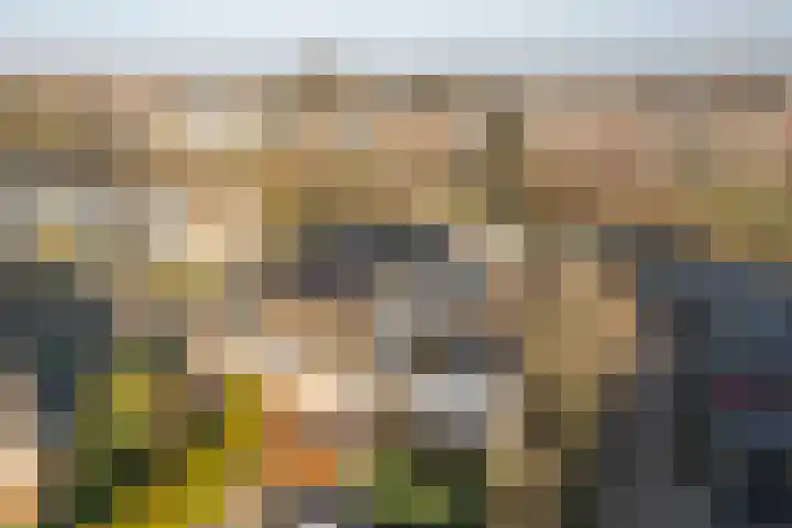 Wederik 122 Heerenveen thumbnail 37