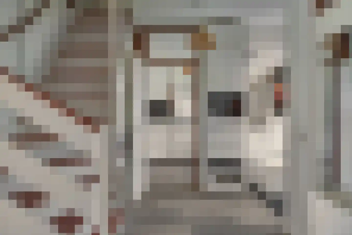 Wederik 124 Heerenveen thumbnail 12