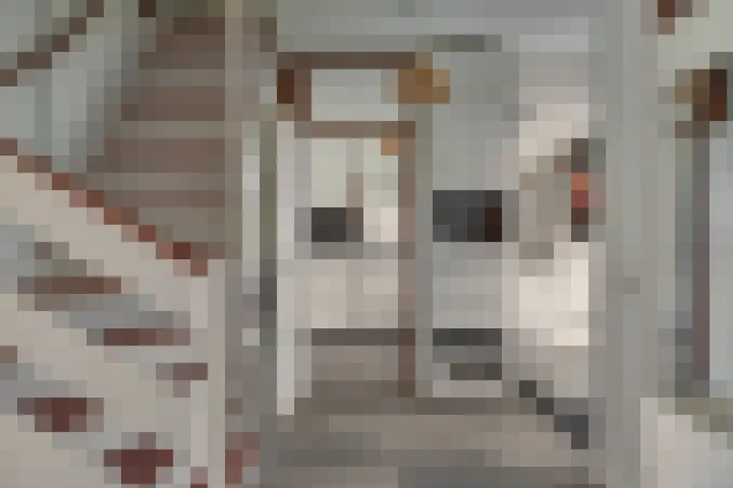 Wederik 124 Heerenveen thumbnail 12