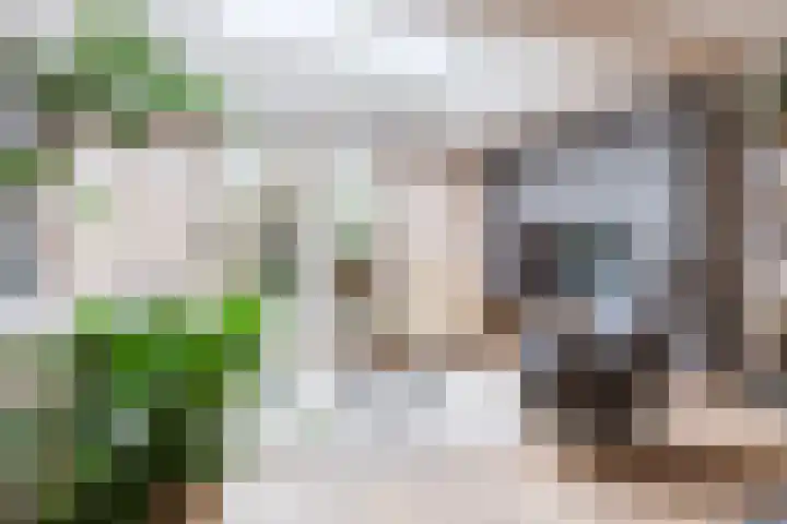 Wederik 134 Heerenveen thumbnail 14