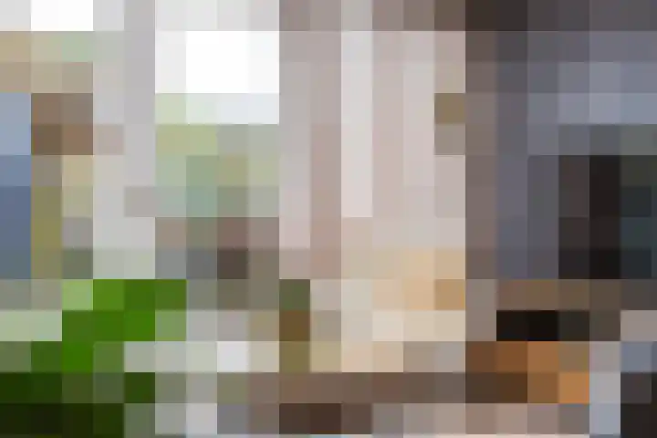 Wederik 134 Heerenveen thumbnail 15