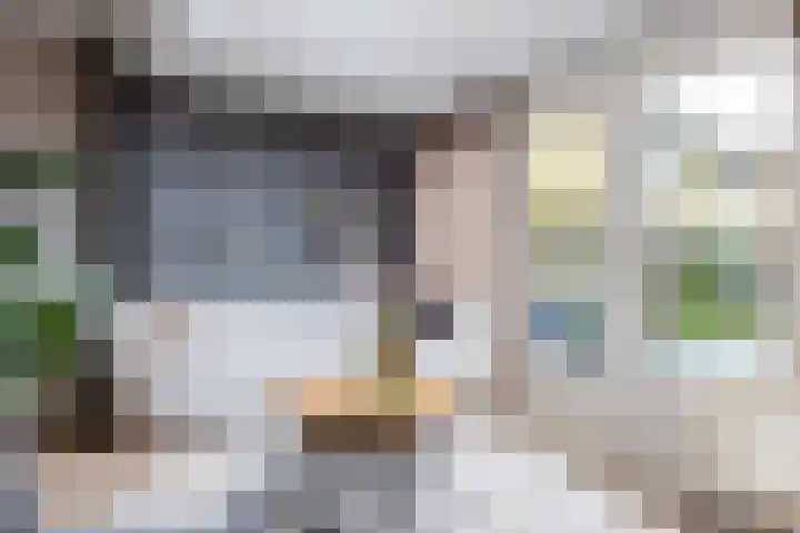 Wederik 134 Heerenveen thumbnail 16