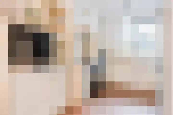 Wederik 134 Heerenveen thumbnail 25