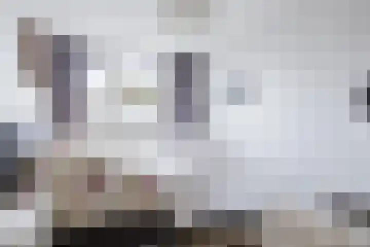 Wederik 134 Heerenveen thumbnail 33