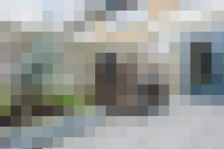 Wederik 134 Heerenveen thumbnail 46