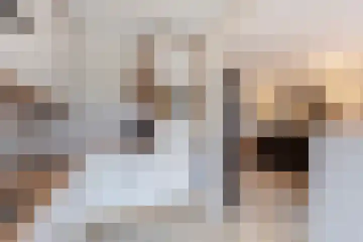 Wederik 14 Werkendam thumbnail 20