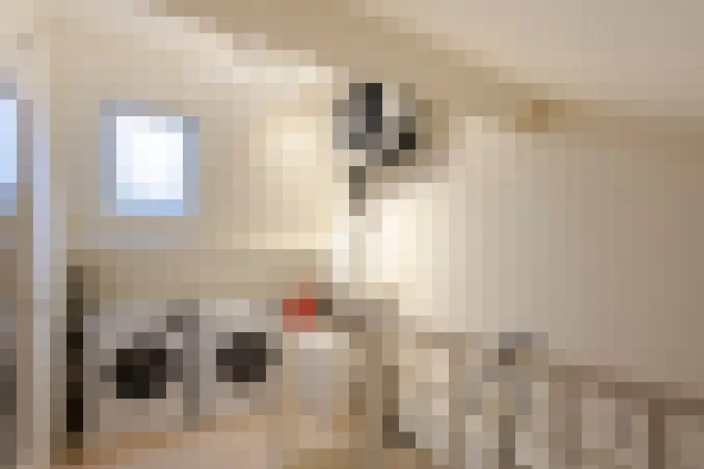 Wederik 14 Werkendam thumbnail 30
