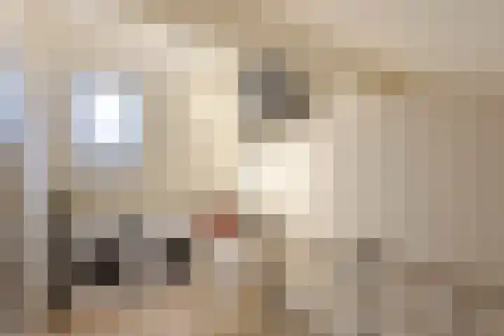 Wederik 14 Werkendam thumbnail 31