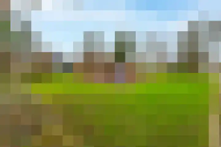 Wederik 14 Werkendam thumbnail 38