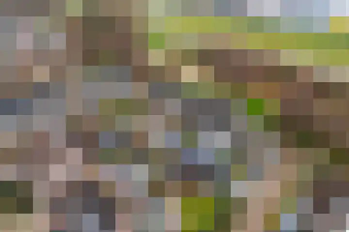 Wederik 14 Werkendam thumbnail 39