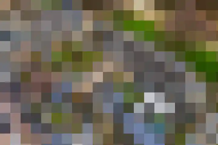 Wederik 14 Werkendam thumbnail 40