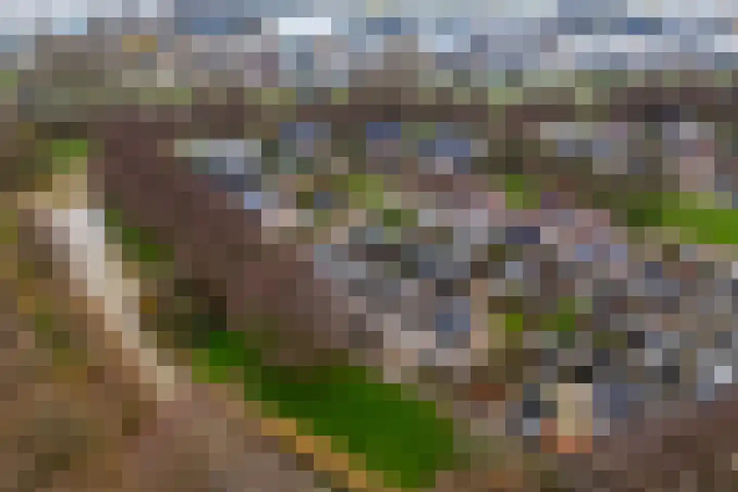 Wederik 14 Werkendam thumbnail 40