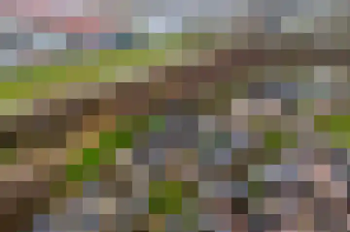 Wederik 14 Werkendam thumbnail 42